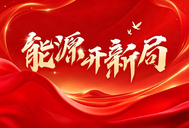 国家能源局可靠性和质监中心主任武英利：全面提升电力建设工程质